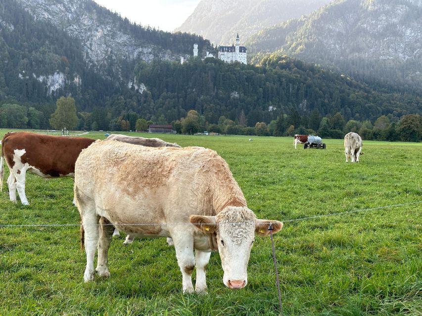 Neuschwanstein & Linderhof Castle Private Tour From Munich - Inclusions and Exclusions