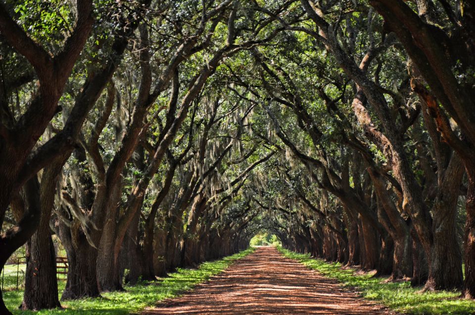 New Orleans: Destrehan Plantation, Houmas House & Lunch - Tour Duration