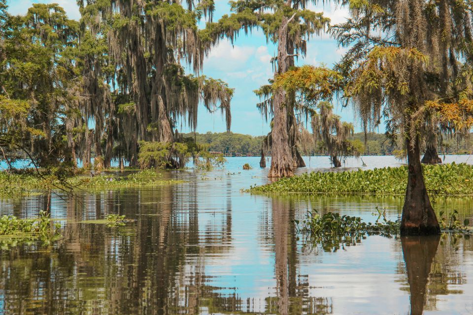 New Orleans: High Speed 9 Passenger Airboat Tour - Frequently Asked Questions