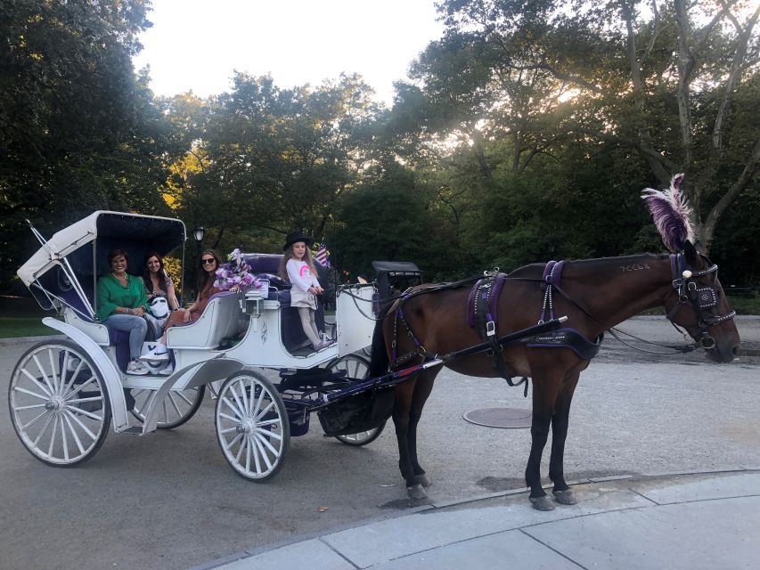 New York: Carriage Ride in Central Park - Reservation and Cancellation