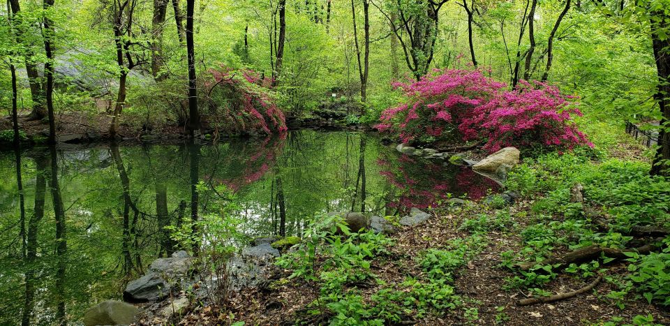 New York City: Central Park Walking Tour - Booking Details