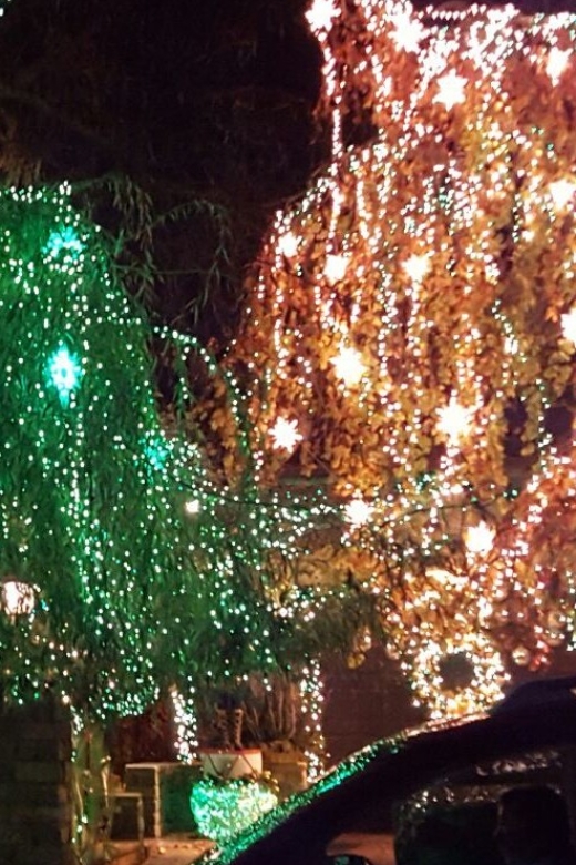 New York City: Dyker Heights Christmas Lights Tour - Transportation and Cancellation Policy