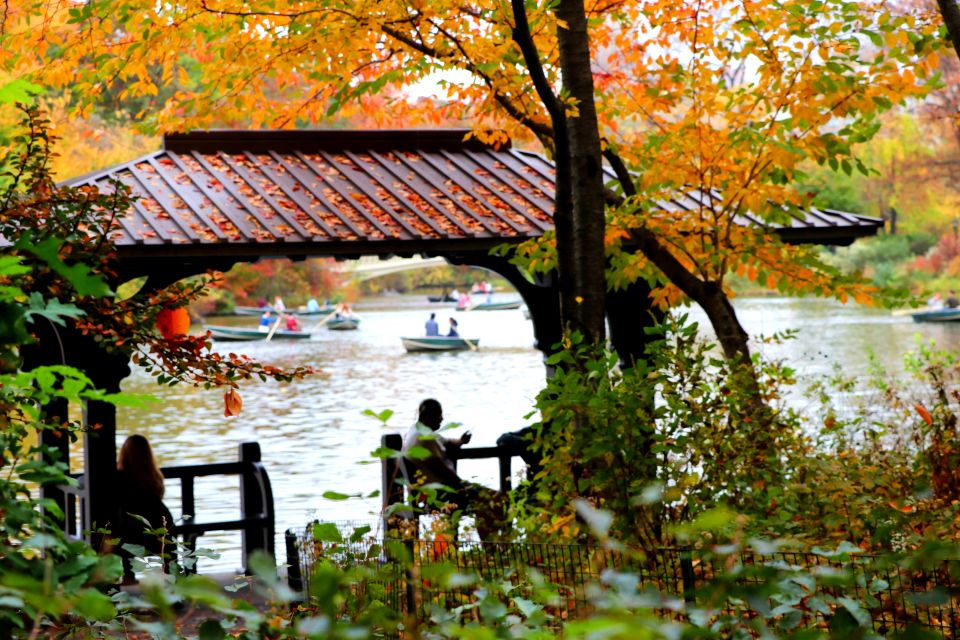 New York City: Pedicab Tour Through Central Park - Accessibility and Group Size