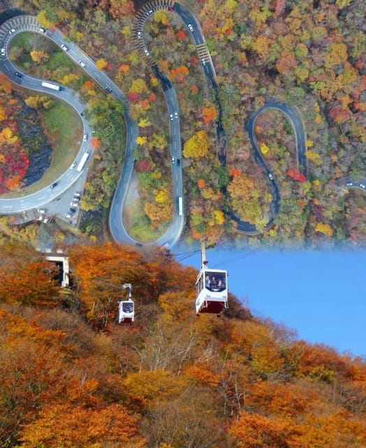 Nikko Toshugo Day Tour Review - Cultural Treasures and Natural Wonders