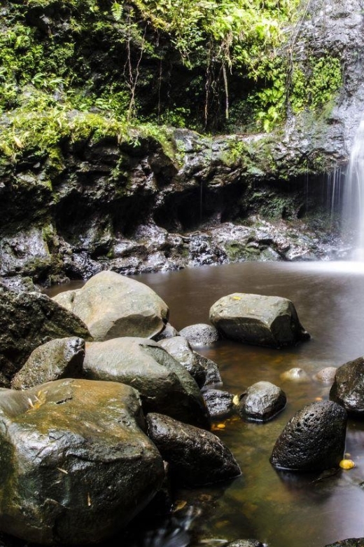 North Shore Haleiwa & Waimea Falls Valley Of The Priests! - Pricing and Savings