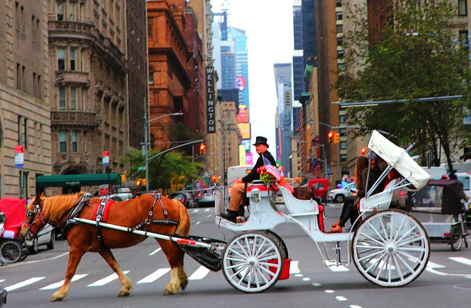 NYC: Central Park Horse-Drawn Carriage Ride (up to 4 Adults) - Additional Considerations