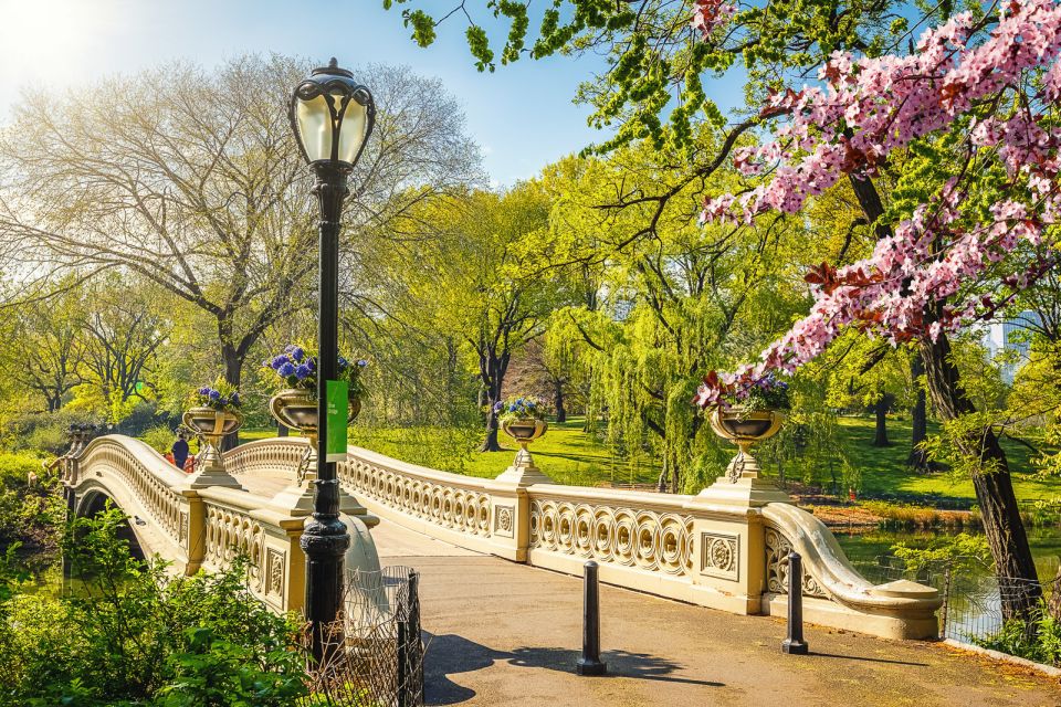 NYC: Central Park Pedicab Highlights Tour - Departure Location