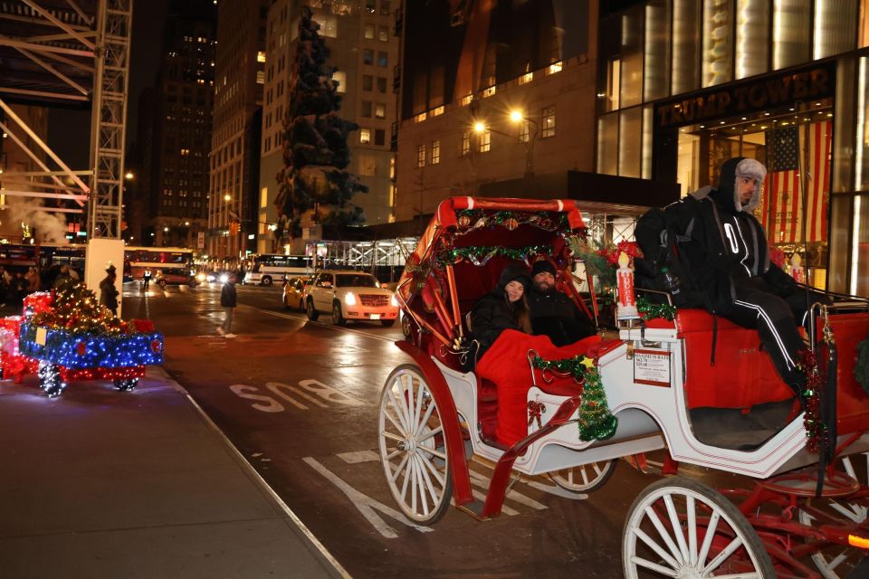 NYC: Magical Christmas Lights Carriage Ride (Up to 4 Adults) - Starting and Ending Location