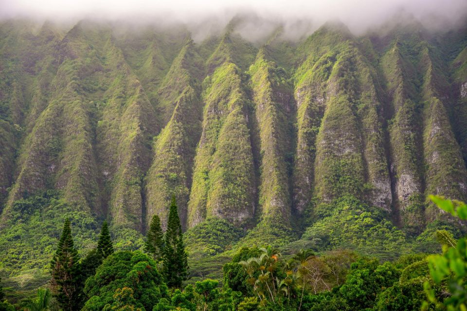 Oahu: Honolulu Sunrise Photos Tour With Malasadas - Frequently Asked Questions