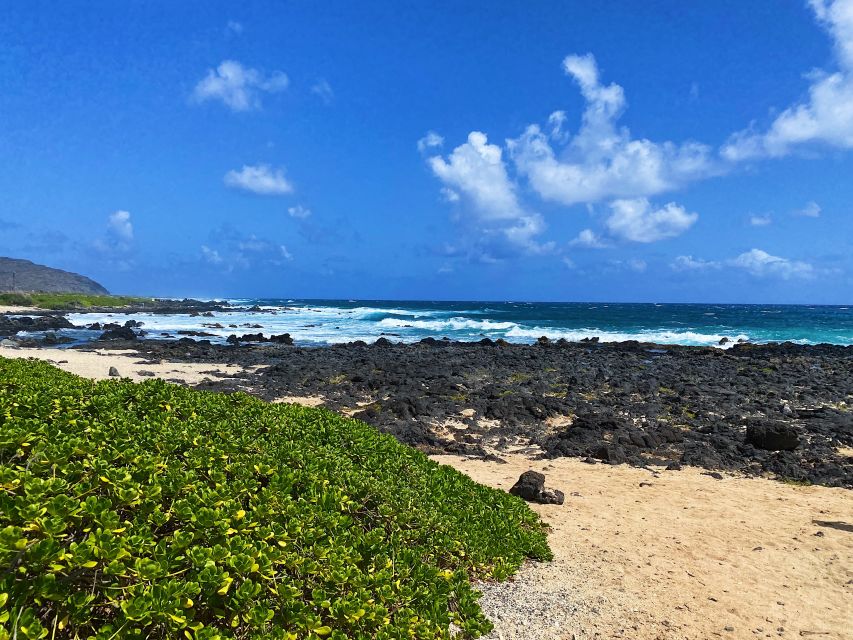 Oahu: Sunrise Hiking & East Side Makapuu Lighththouse - What to Expect