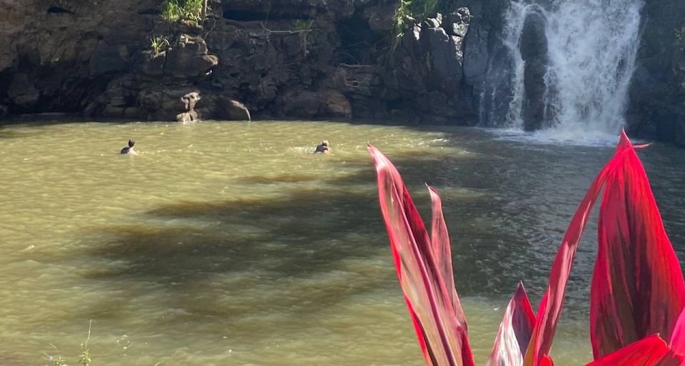 Oahu: Valley of Waimea Falls Swim & Hike With Lunch & Dole - Important Details