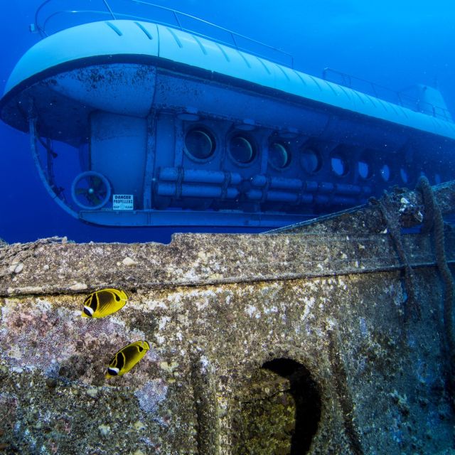 Oahu: Waikiki Submarine Tour - Additional Tips