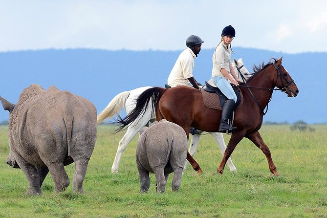 Ol Pejeta Conservancy Day Tour From Nairobi - Cancellation and Important Info