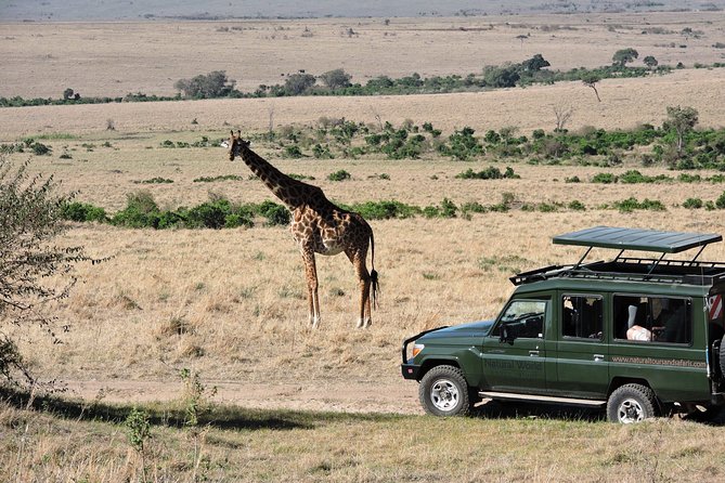 Olpejeta, Lake Naivasha, Masai Mara 5 Days Private Kenya Jeep Tour - Booking and Confirmation Details