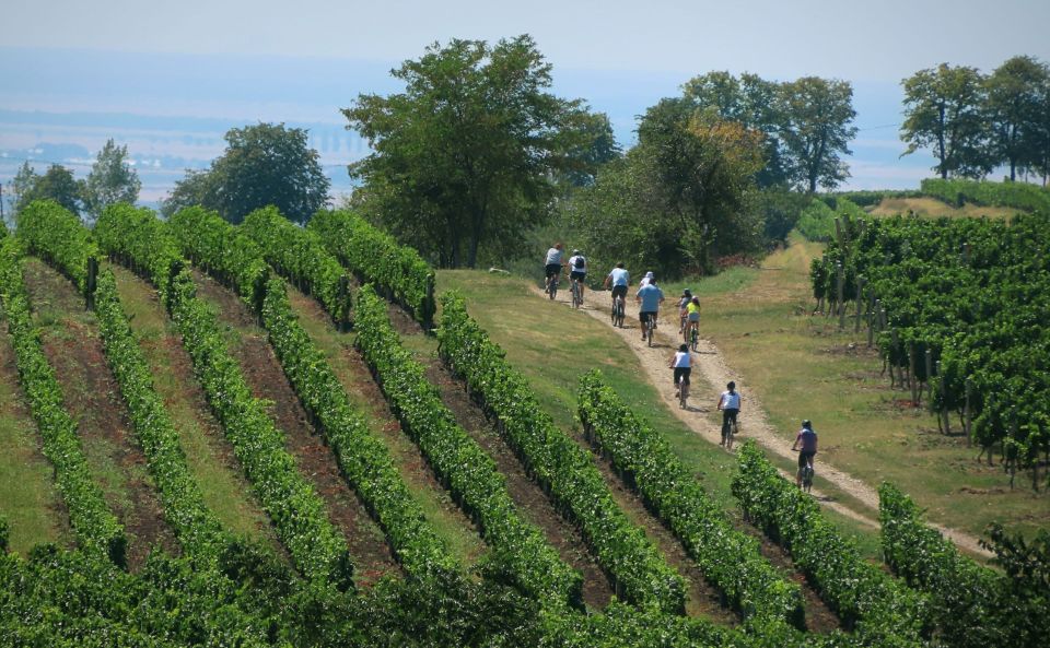 One Day Wine Route by Bike - Historical Sites and Museums