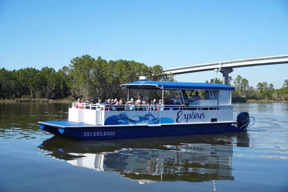 Orange Beach: Dolphin-Watching Sunset Catamaran Cruise - Frequently Asked Questions