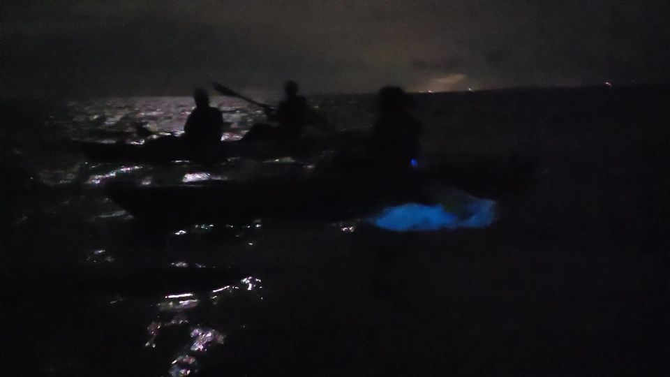 Orlando: Bioluminescence Kayak and Swim Adventure - Reservation Details