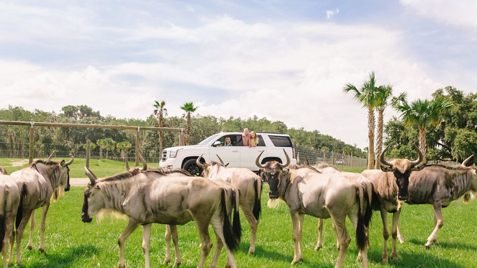 Orlando: Drive-Thru Safari Park at Wild Florida - Additional Activities and Packages