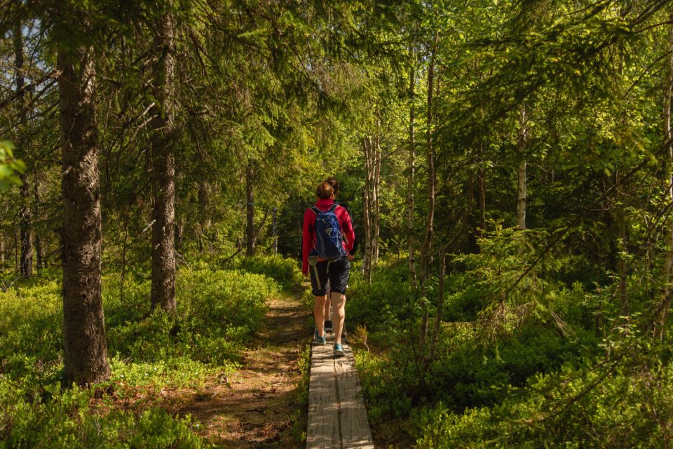 Oslo: Skjennungstoppen Wildlife Forest Hiking Tour - Return to Central Oslo