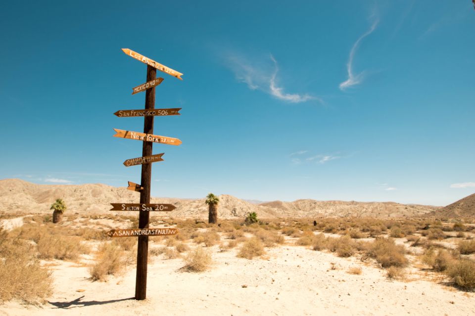 Palm Springs & Joshua Tree: National Park Self-Guided Tours - Immerse in Natural Wonders