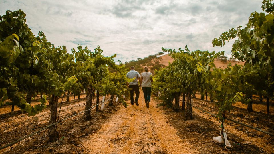 Paso Robles: Wine Country Sightseeing Tour by Sidecar - Exploring Paso Robles