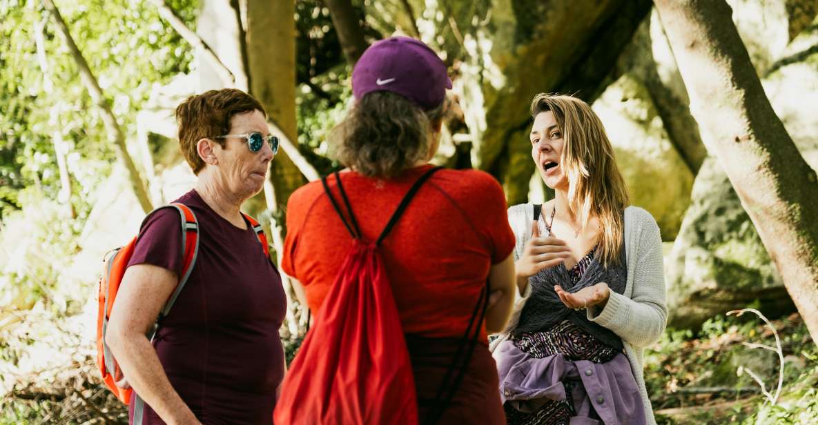 Pena Palace, Moorish Castle,Quinta Ad Regaleira:Walking Tour - Guided Visit to Quinta Da Regaleira