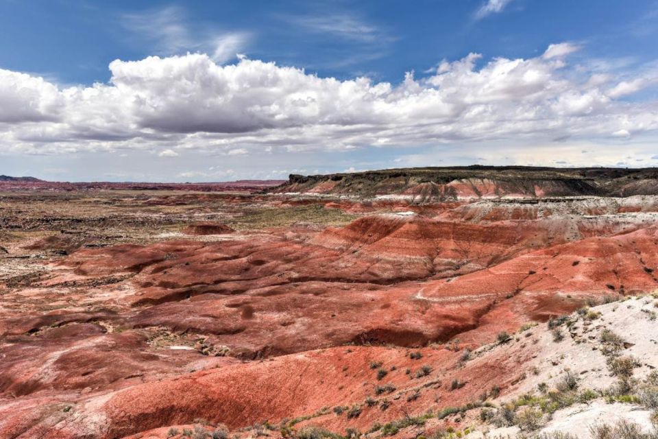 Petrified Forest National Park Self-Guided Audio Tour - Support and Assistance