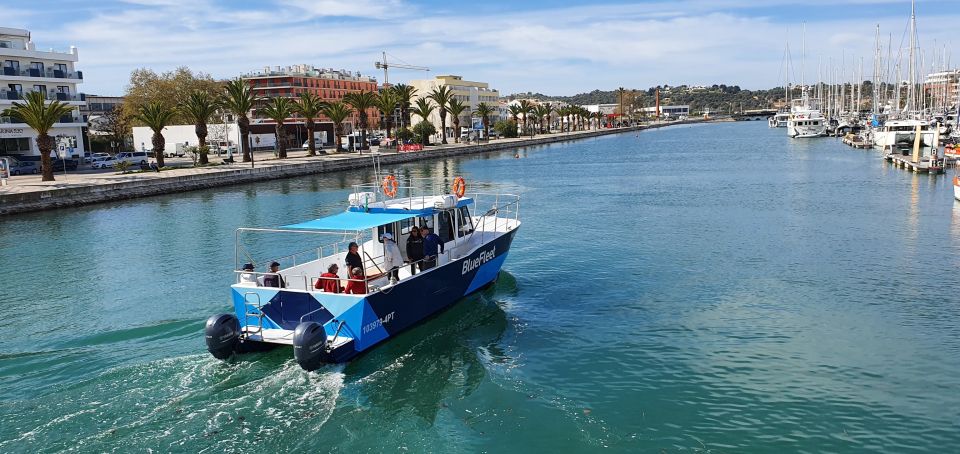 Ponta Da Piedade: Half-Day Cruise With Lunch From Lagos - Liability and Valuables