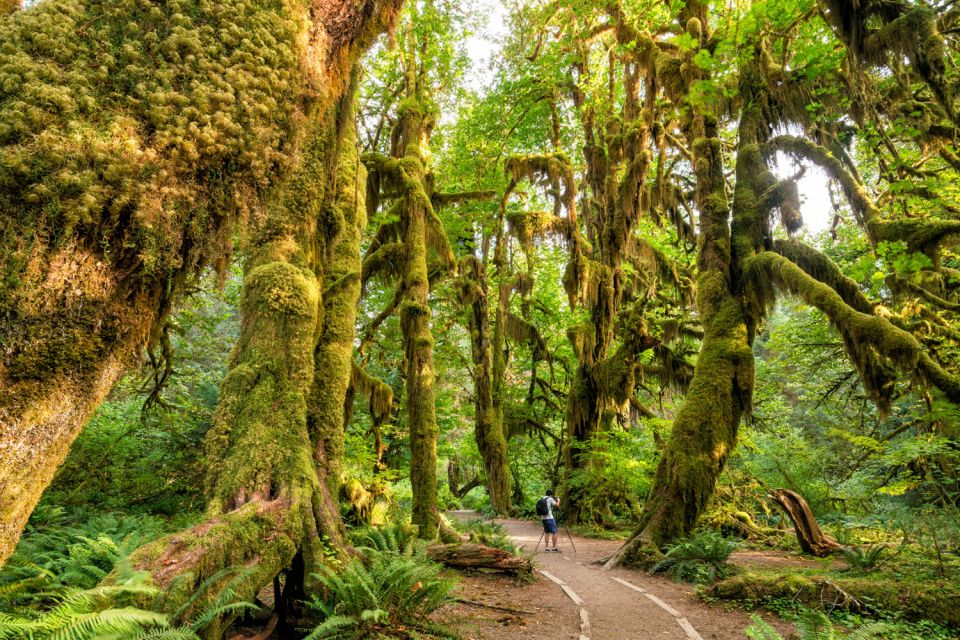 Port Angeles: Olympic National Park Driving Audio Tour - Discovering Historical Insights