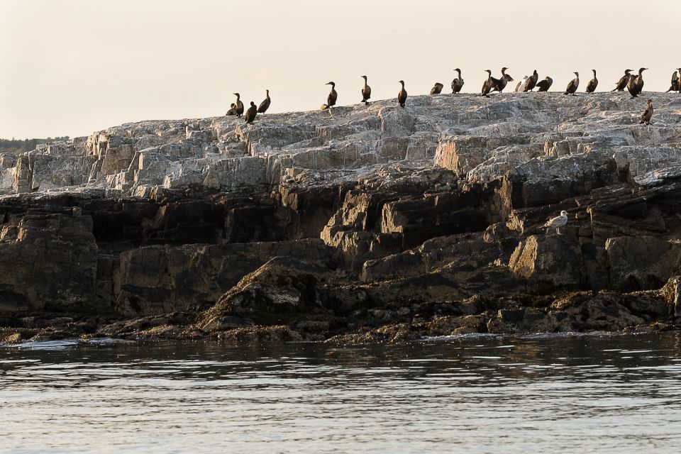 Portland: Sunset Lighthouse Cruise in Casco Bay With Drinks - What to Expect