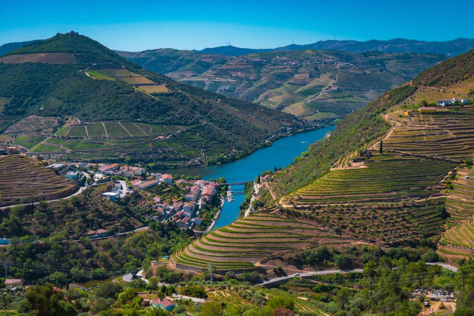 Porto: Douro Valley Tour With Lunch, Boat Cruise & Tastings - Important Considerations