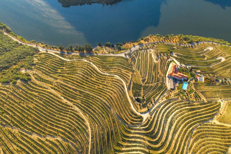 Porto: Douro Valley Tour With Wine Tasting, Cruise and Lunch - Lunch Options