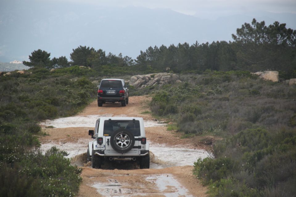 Porto Vecchio: Cuscionu Plateau & Alta Rocca 4x4 Tour - Inclusions and Tour Details