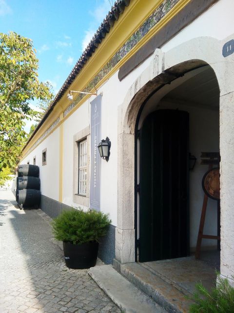 Portugal Arrábida Tour, the Winery and the Mountain Charms - Wine Tasting and Appreciation