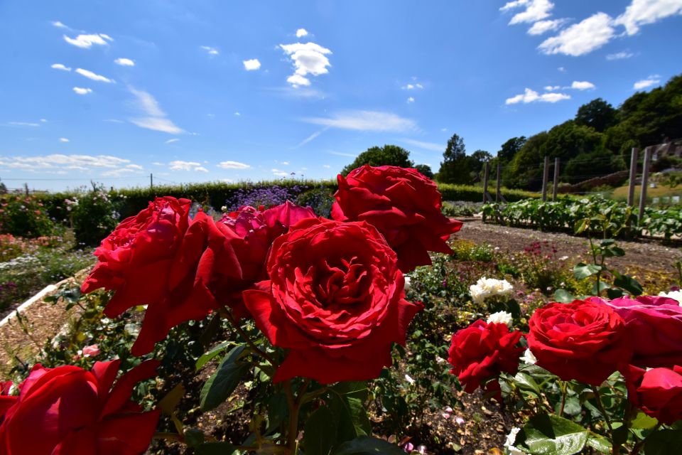 Private Day Tour to Chartwell, Home of Sir Winston Churchill - Frequently Asked Questions