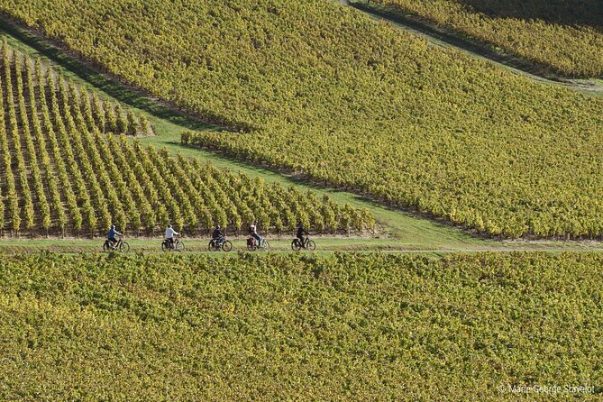 Private E-Bike Tour With a Guide in the Vineyards of Chablis - Highlights of the Chablis Vineyards