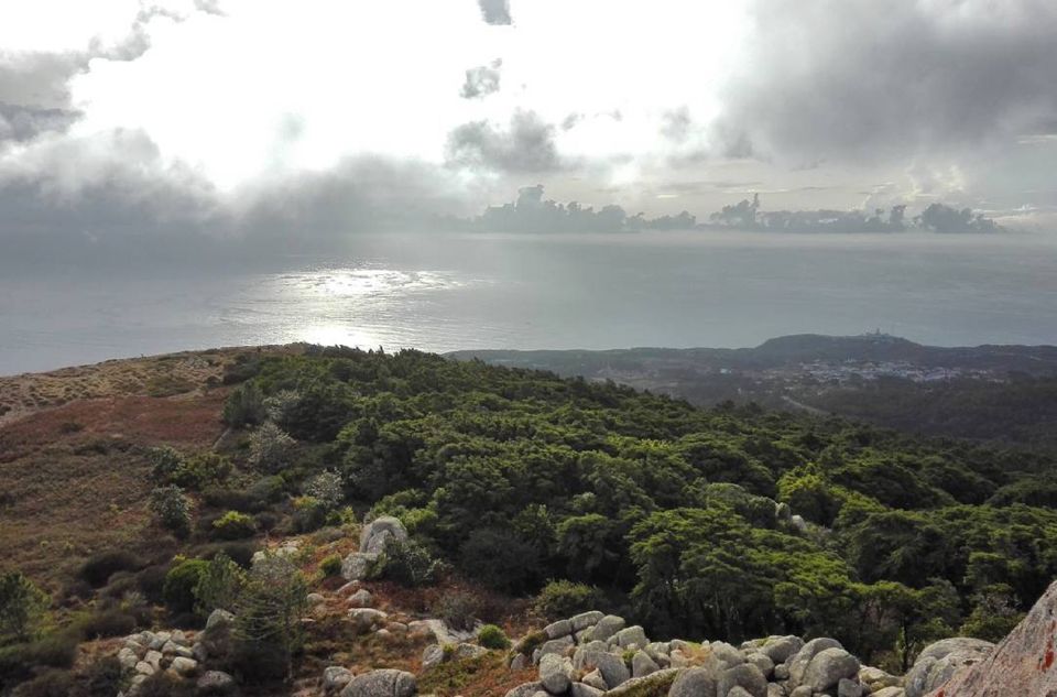 Private Evening Walk: Sintra Mountains Inbetween Wolves - Safety Precautions