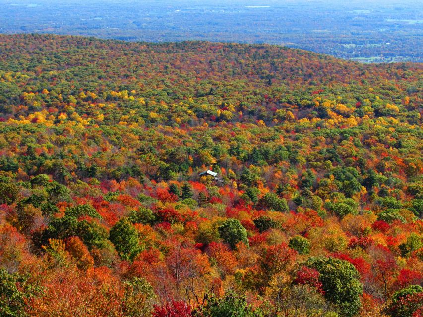 Private Fall Foliage Helicopter Tour of the Hudson Valley - Accessibility for Children