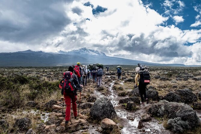 Private Full Day Hiking Experience to Marangu Route - Additional Information