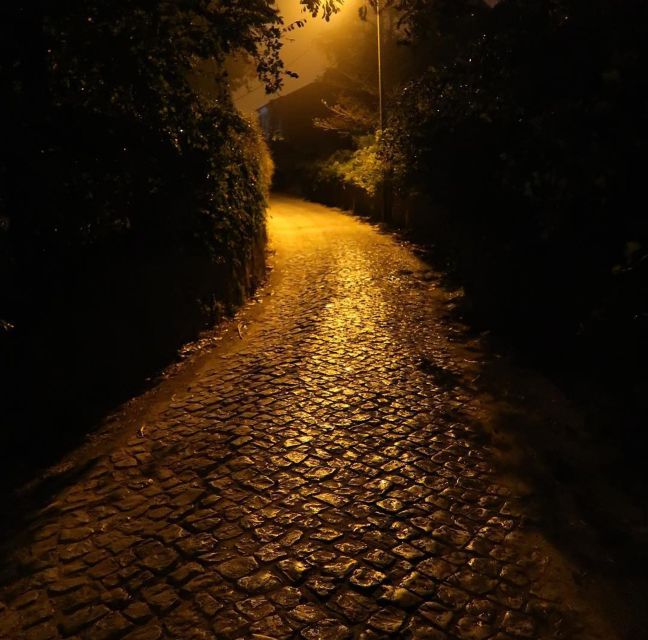 Private Sintra Night Walk: Dreams in the Woods - Immersive Mountain Adventure