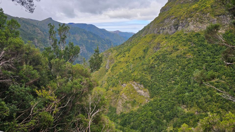 Private Tour: 25 Fontes Levada Hike - Scenic Levada Experience