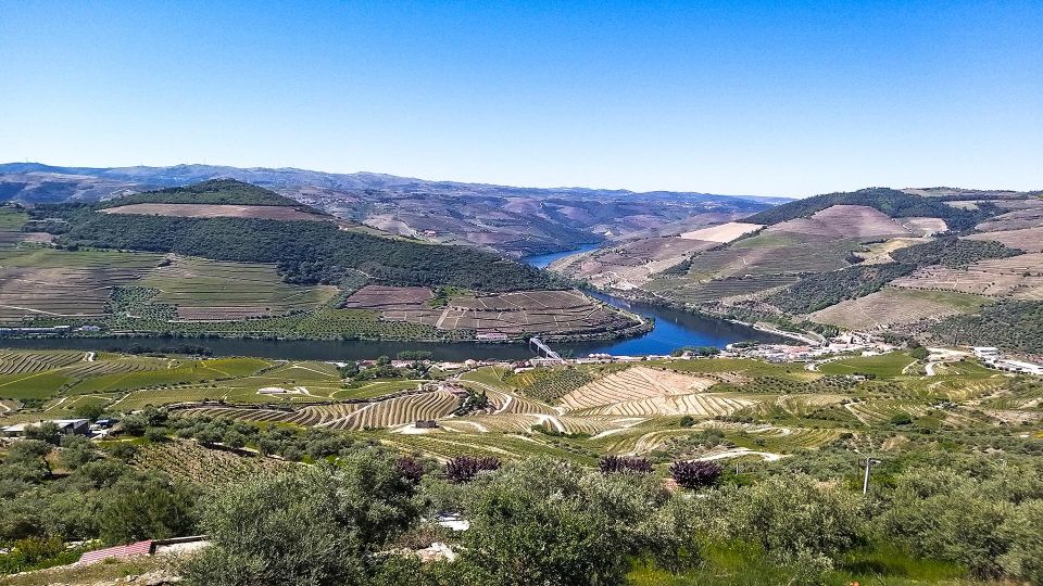 Private Tour to Stunning Douro Valley and Renowned Wineries - Booking and Cancellation Policy