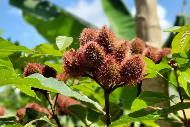 Private Tour Zanzibar Unique Stone Town With Spice Farm Plantations - Additional Tour Information