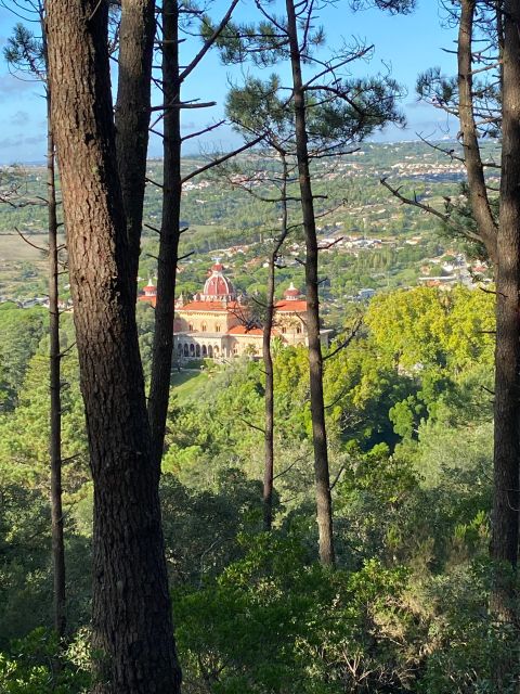 Private Tuk Tuk Tour Around Sintra - Accessibility and Meeting Point