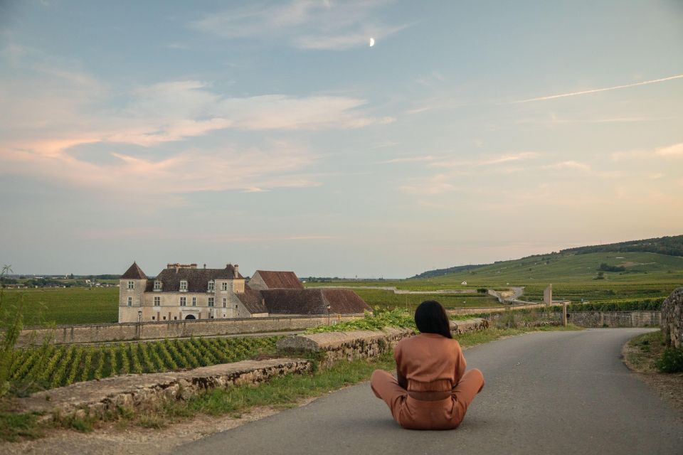 Private Wine Tour in Cote De Nuits and Cote De Beaune - Tour Duration and Pricing