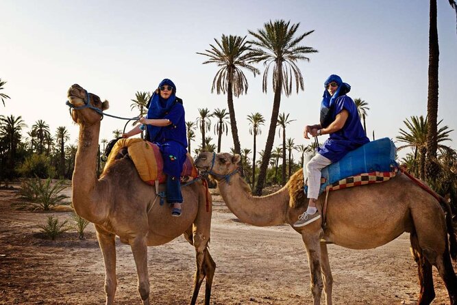 Quad and Dromedary at the Palmeraie of Marrakech With Transport - Positive Reviews and Ratings