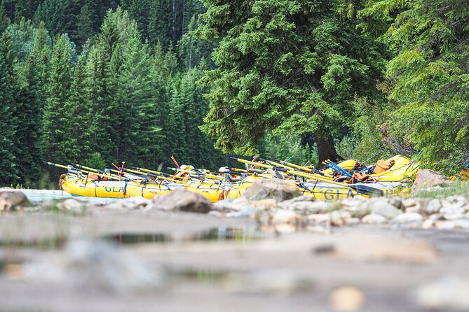 Rafting Adventure on the Kicking Horse River - Weather and Minimum Traveler Considerations