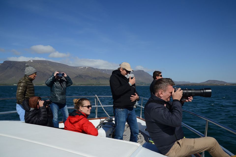 Reykjavik: Whale Watching and Dolphin Watching Yacht Cruise - Cancellation Policy