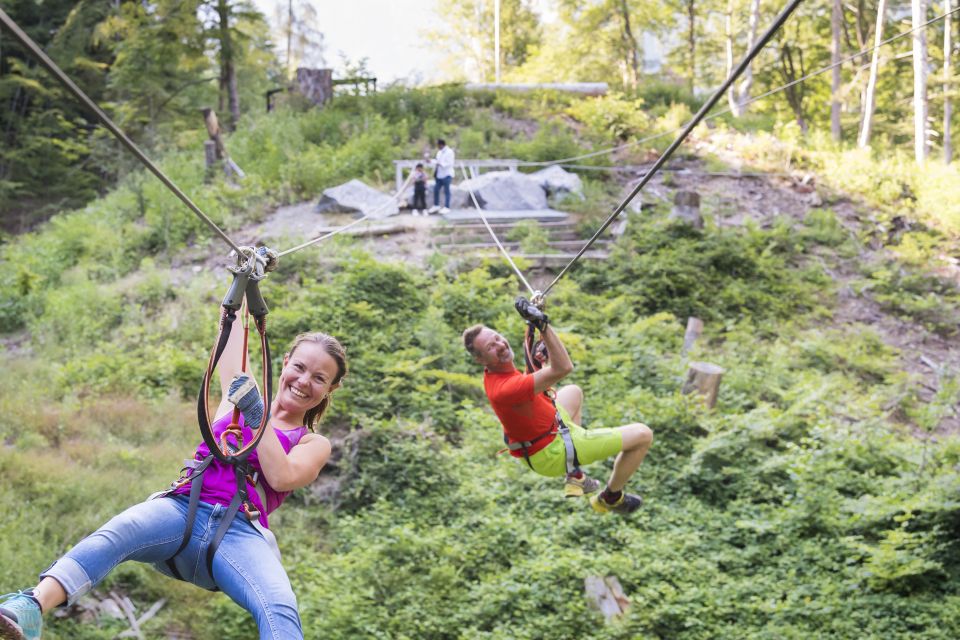 Rope Park Interlaken: Climbing Adventure With Entry Ticket - Key Points