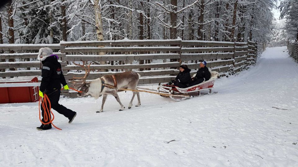 Rovaniemi: Husky Park and Reindeer Farm Combo - Preparing for the Adventure